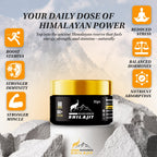 30g Premium Shilajit Resin